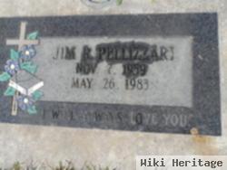 Jim R. Pellizzari