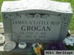 James A "little Bud" Grogan