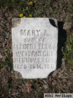 Mary A. Weitknecht