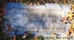 Connie Marie Arter