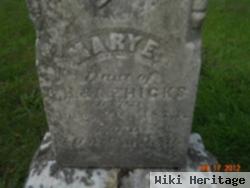 Mary Edith Hicks