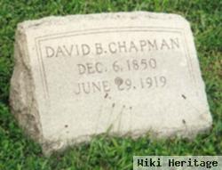 David B Chapman