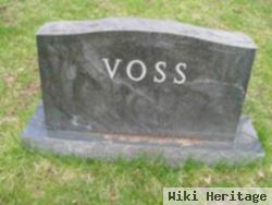 Otto Voss