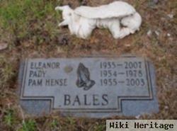 Pamela Bales Hense