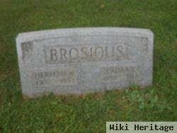 Herman W Brosious