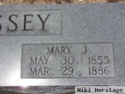 Mary J. Bussey