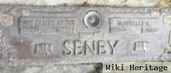 James Irwin "bud" Seney