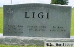 Joseph John Ligi