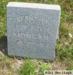 Infant Morgan