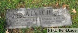 Mary N Alvich