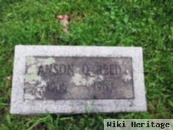 Anson O. Reed