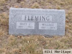 William Wallace Fleming