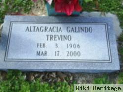 Altagracia Galindo Trevino