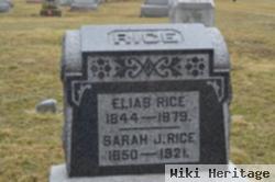 Elias Rice