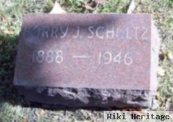 Harry J Schultz