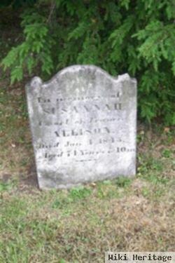 Susannah Allison