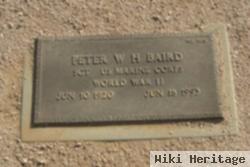 Peter W H Baird