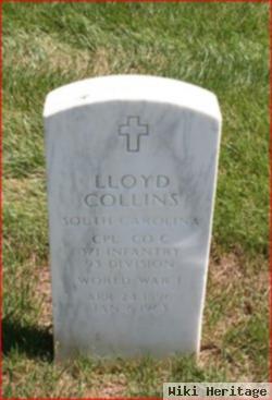 Lloyd Collins