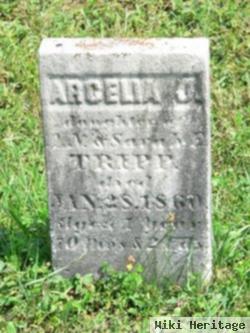 Arcelia J Tripp