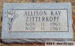 Allison Kay Zitterkopf