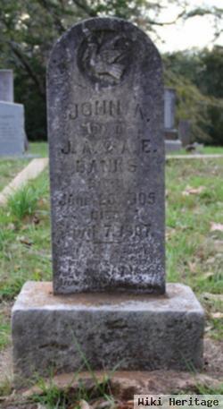 John A Banks