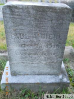 Paul A Diehl