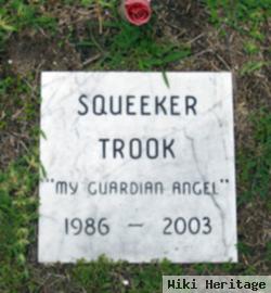 Squeeker Trook