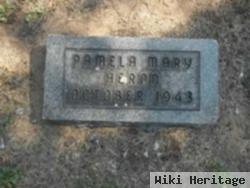 Pamela Mary Heron