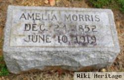 Amelia Morris