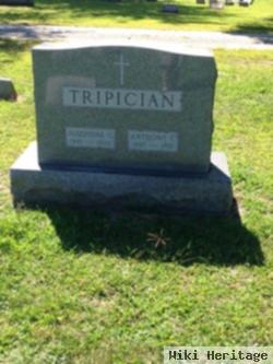 Anthony C. Tripician