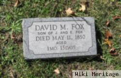 David M Fox