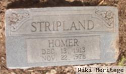 Homer Stripland