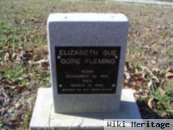 Elizabeth Sue Gore Fleming