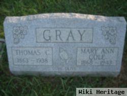 Thomas C Gray