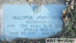 Halvor Johnson