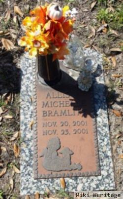 Allison Michelle Bramlitt