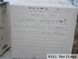 Eliza Jane Gibson Wilkins