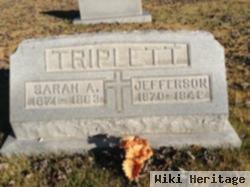 Sarah Ann Clay Triplett