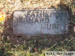 Bernard Andrew Murray