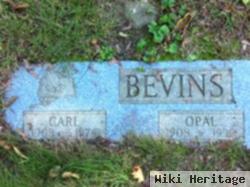 Carl Bevins