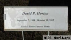 David P Horton