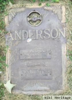 Richard John Anderson