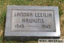 Sandra Leeilia Hawkins