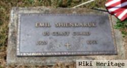 Emil Shienkaruk