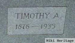 Timothy A Shiplet