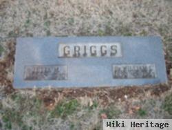 Dr William L Griggs