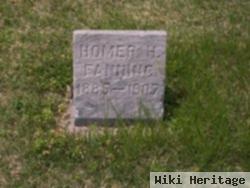 Homer H Fanning