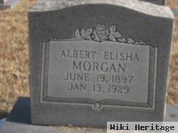 Albert Elisha Morgan