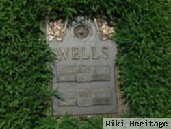 Harry J Wells