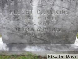 Albert C. Judkins